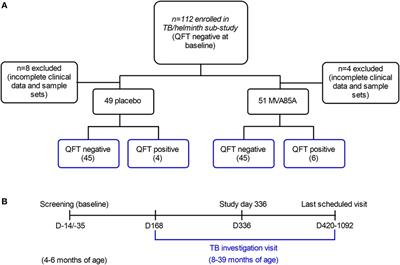 Elevated IgG Responses in Infants Are Associated With Reduced Prevalence of Mycobacterium tuberculosis Infection
